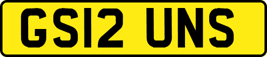 GS12UNS