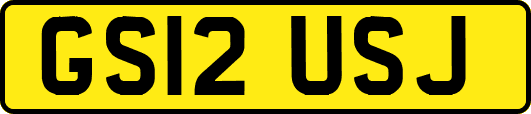GS12USJ