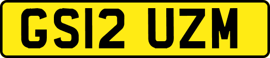 GS12UZM