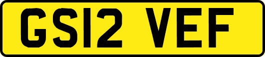 GS12VEF