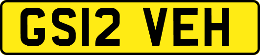 GS12VEH