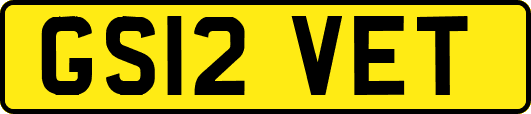 GS12VET
