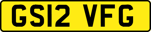 GS12VFG
