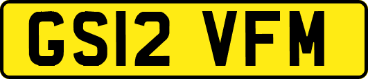 GS12VFM