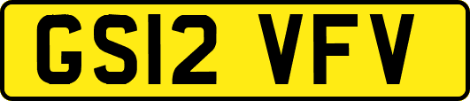 GS12VFV