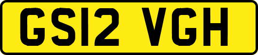 GS12VGH