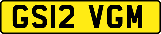 GS12VGM