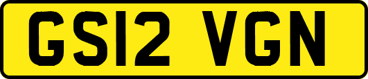 GS12VGN