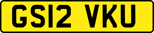 GS12VKU