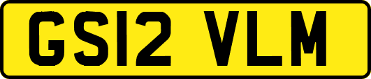 GS12VLM