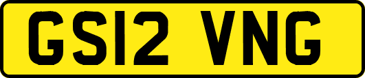GS12VNG