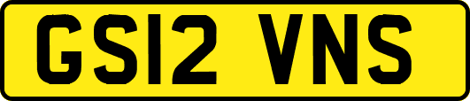 GS12VNS