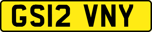 GS12VNY