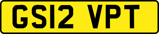GS12VPT