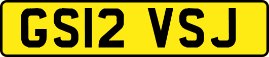 GS12VSJ