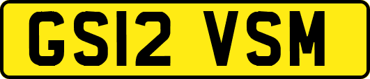 GS12VSM