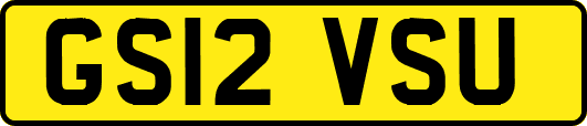 GS12VSU