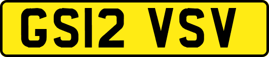 GS12VSV