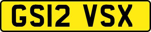 GS12VSX