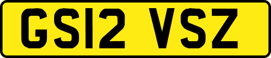 GS12VSZ