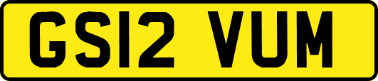 GS12VUM