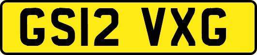 GS12VXG