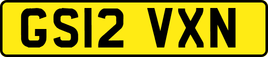 GS12VXN