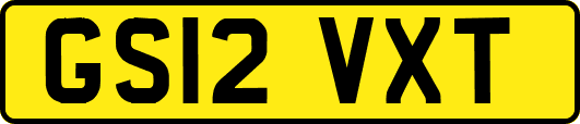GS12VXT