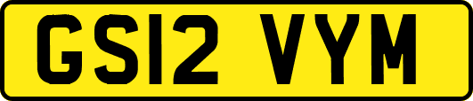 GS12VYM