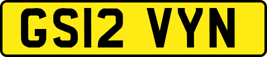 GS12VYN