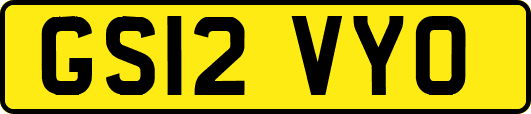 GS12VYO