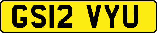 GS12VYU