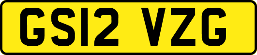 GS12VZG