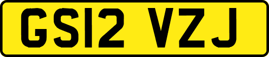 GS12VZJ