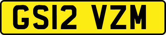 GS12VZM