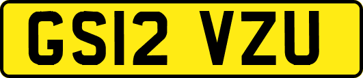 GS12VZU