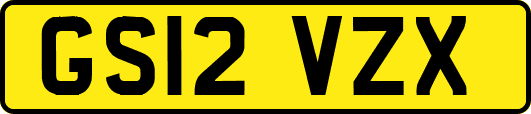 GS12VZX