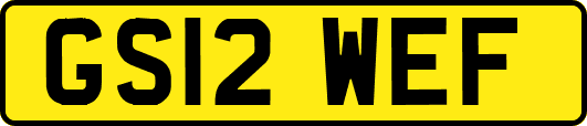 GS12WEF