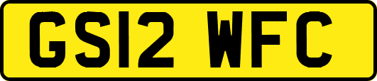 GS12WFC