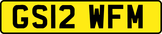 GS12WFM