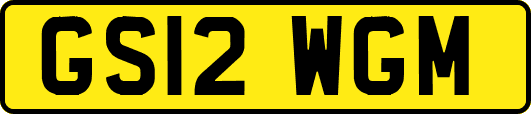 GS12WGM