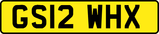 GS12WHX