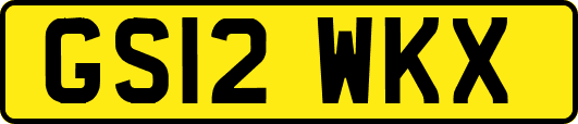 GS12WKX