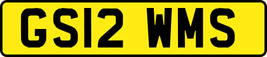 GS12WMS