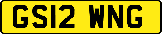 GS12WNG