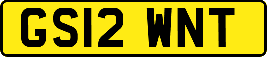 GS12WNT