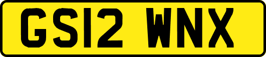 GS12WNX