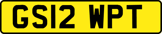 GS12WPT