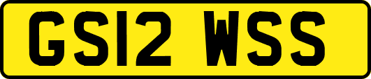 GS12WSS