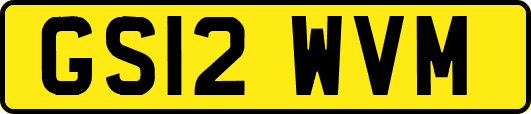 GS12WVM